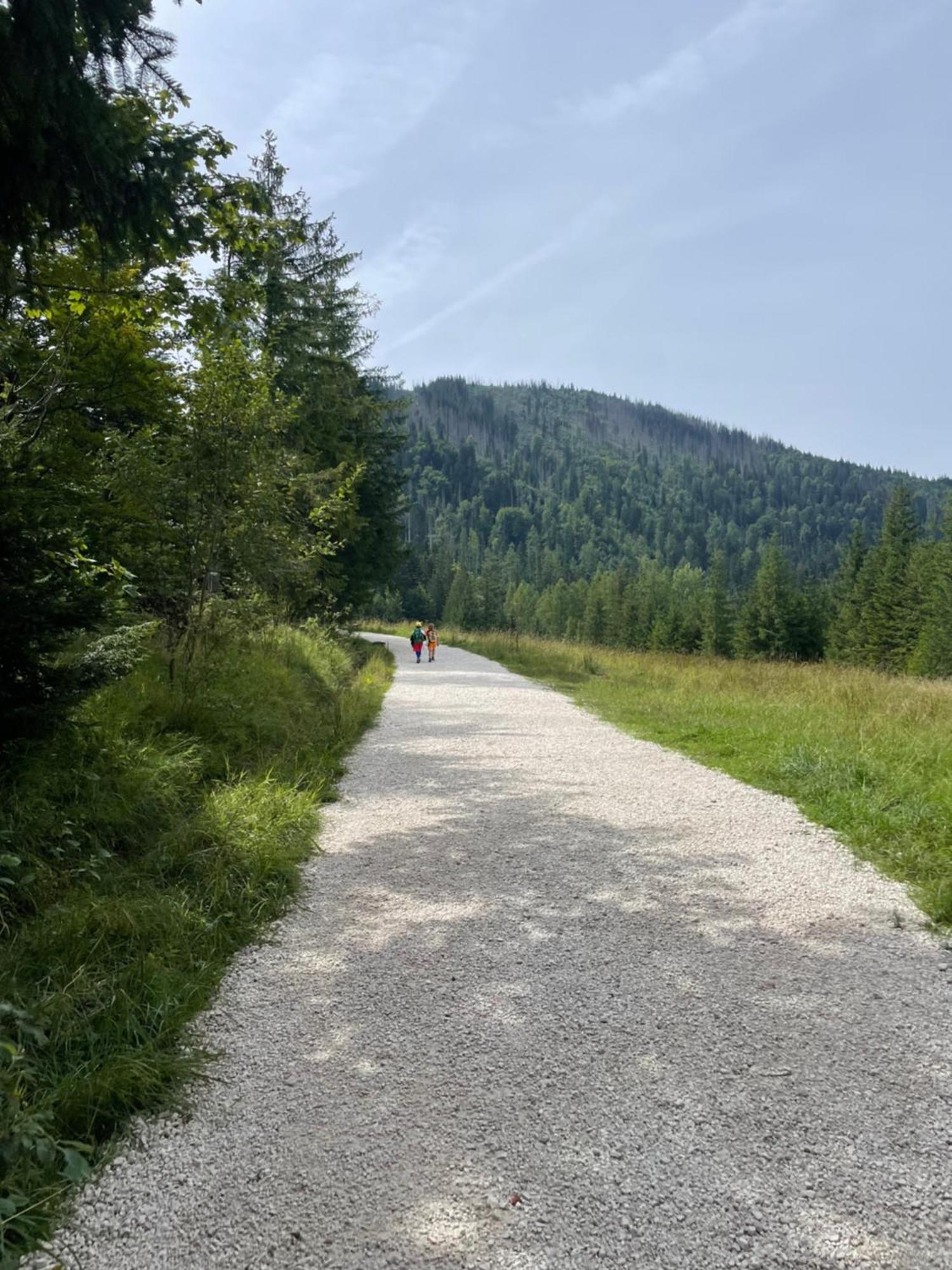 Z Giewontem W Tle Apart&Room Zakopane Exteriör bild